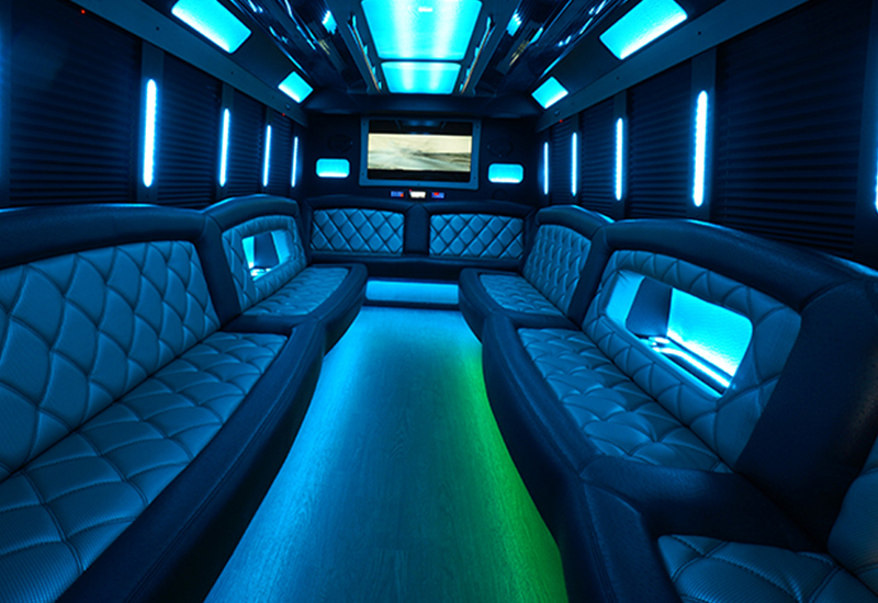 28-passenger party bus rentals