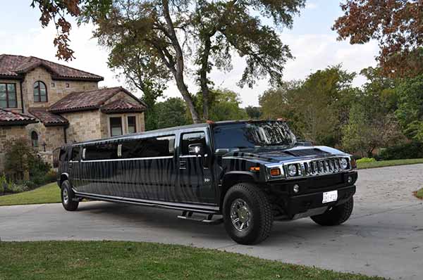 18 Pass. Zebra Hummer - Exterior